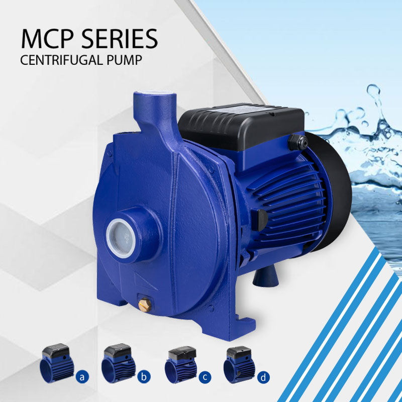 MCP series clean water pump for Sale in Zambia